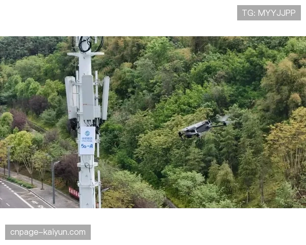 5G通感一体化基站监测场馆人流密度 辅助公共安全与服务调度。